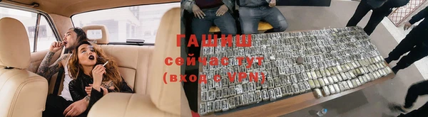 сатива Зеленокумск