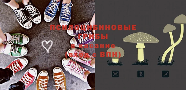 синтетический гашиш Заводоуковск