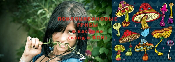 синтетический гашиш Заводоуковск