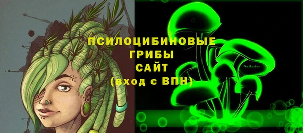 сатива Зеленокумск