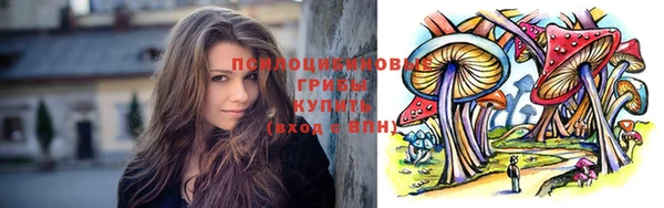 синтетический гашиш Заводоуковск
