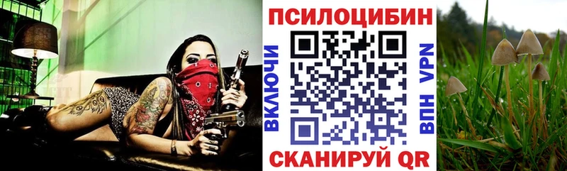 гидра ONION  Камешково  Галлюциногенные грибы мухоморы 